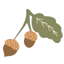🌰