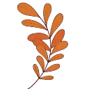 🌿