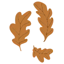 🍂