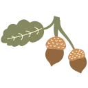 🌰