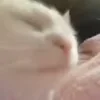 🕺