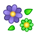 🌺