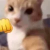 👊