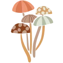🍄