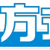 🫢
