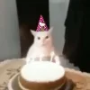 🥳