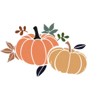 🍂