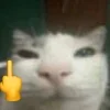 🖕
