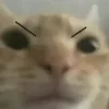 😈