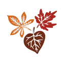 🍂