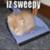 😴