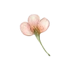 ⭐