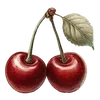 ⭐