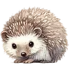 ⭐