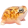 🐸