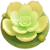 🌱