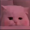 🥺