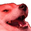 🤪