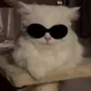 🙂