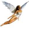 🧚‍♀️