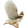 🕊