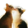 💋