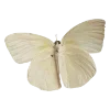 🦋