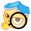 🔍
