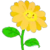 🌼