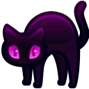 🐈‍⬛