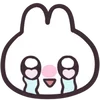 🐇