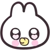 🐇