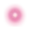 🩷