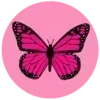 🦋
