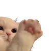 🤗