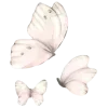 🦋