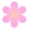 🌺