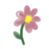🌺