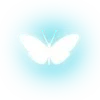 🦋