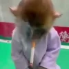 🤍