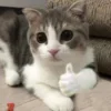 👍