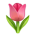 🌷
