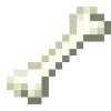 🦴