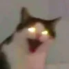 👽
