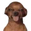 🤪