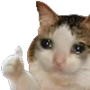👍