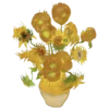 🌻