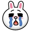 🐰