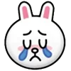 🐰