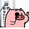 🐷